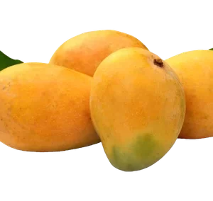 Banganapalli - Badami Mango